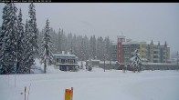 Archived image Webcam Brewer´s Pond Cam 09:00