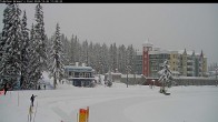 Archived image Webcam Brewer´s Pond Cam 11:00