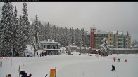 Archived image Webcam Brewer´s Pond Cam 13:00