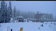 Archived image Webcam Brewer´s Pond Cam 15:00