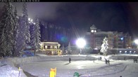 Archived image Webcam Brewer´s Pond Cam 19:00