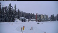 Archived image Webcam Brewer´s Pond Cam 09:00