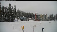 Archived image Webcam Brewer´s Pond Cam 11:00