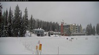 Archived image Webcam Brewer´s Pond Cam 13:00