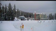 Archived image Webcam Brewer´s Pond Cam 15:00