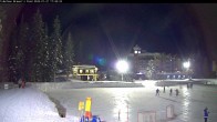 Archived image Webcam Brewer´s Pond Cam 17:00