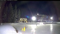 Archived image Webcam Brewer´s Pond Cam 19:00