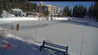 Archiv Foto Webcam Blick auf Brewer´s Pond 11:00