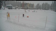 Archiv Foto Webcam Blick auf Brewer´s Pond 13:00