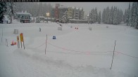 Archiv Foto Webcam Blick auf Brewer´s Pond 15:00