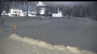 Archived image Webcam Brewer´s Pond Cam 01:00