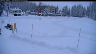 Archived image Webcam Brewer´s Pond Cam 07:00