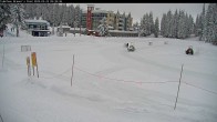 Archived image Webcam Brewer´s Pond Cam 09:00