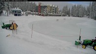 Archived image Webcam Brewer´s Pond Cam 11:00