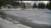 Archiv Foto Webcam Blick auf Brewer´s Pond 10:00