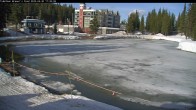 Archiv Foto Webcam Blick auf Brewer´s Pond 16:00