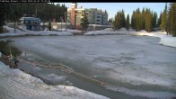 Archiv Foto Webcam Blick auf Brewer´s Pond 18:00
