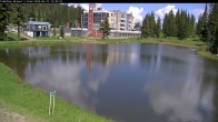 Archived image Webcam Brewer´s Pond Cam 12:00