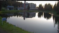 Archived image Webcam Brewer´s Pond Cam 04:00