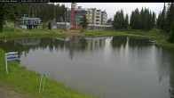 Archived image Webcam Brewer´s Pond Cam 08:00