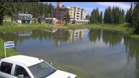 Archived image Webcam Brewer´s Pond Cam 10:00