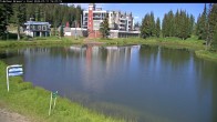 Archived image Webcam Brewer´s Pond Cam 14:00