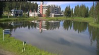 Archived image Webcam Brewer´s Pond Cam 16:00