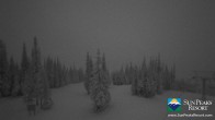 Archiv Foto Webcam Sun Peaks: Mt. Tod 01:00
