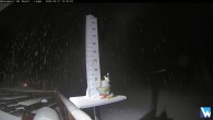 Archiv Foto Webcam Whitewater Lodge 19:00