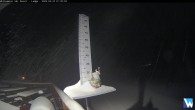 Archiv Foto Webcam Whitewater Lodge 01:00