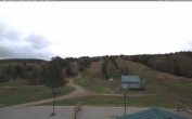 Archived image Webcam View on the slopes 08:00