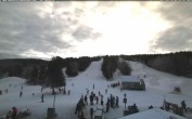 Archiv Foto Webcam Ski Martock Blick auf die Pisten 08:00