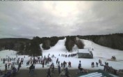 Archiv Foto Webcam Ski Martock Blick auf die Pisten 14:00