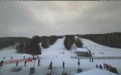 Archived image Webcam View on the slopes 08:00