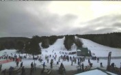 Archiv Foto Webcam Ski Martock Blick auf die Pisten 10:00