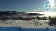 Archiv Foto Webcam Herlíkovice II 08:00