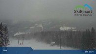 Archiv Foto Webcam Pec pod Snezkou - Javor 12:00