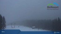 Archiv Foto Webcam Pec pod Snezkou - Javor 07:00