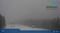 Archiv Foto Webcam Pec pod Snezkou - Javor 12:00