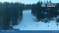 Archiv Foto Webcam Říčky v Orlických horách - Talstation 14:00