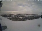 Archiv Foto Webcam Blick auf den Mount Jefferson 13:00