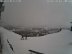 Archiv Foto Webcam Blick auf den Mount Jefferson 15:00