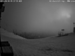 Archiv Foto Webcam Blick auf den Mount Jefferson 05:00