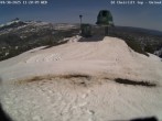 Archiv Foto Webcam Ed Thurston Lift 11:00