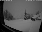 Archived image Webcam Ed Chair Lift top station - view in south-east direction 05:00