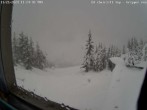 Archived image Webcam Ed Chair Lift top station - view in south-east direction 11:00