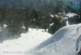 Archived image Webcam Top of Mt. Hood Express 05:00