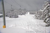 Archived image Webcam Timberline Lodge Ski Area - View Jeff Flood Express 08:00