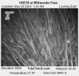 Archived image Webcam Road Condition Cam at Willamette Pass 01:00