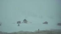 Archiv Foto Webcam White Pass: Talstation 08:00